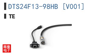 DTS24F13-98HB [V001]